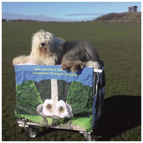 Pet Cage Covers pet-cage-covers
